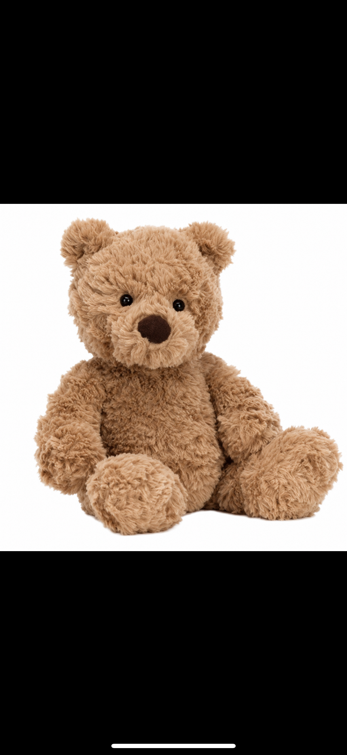 Bear Krate - brown teddy bear plush